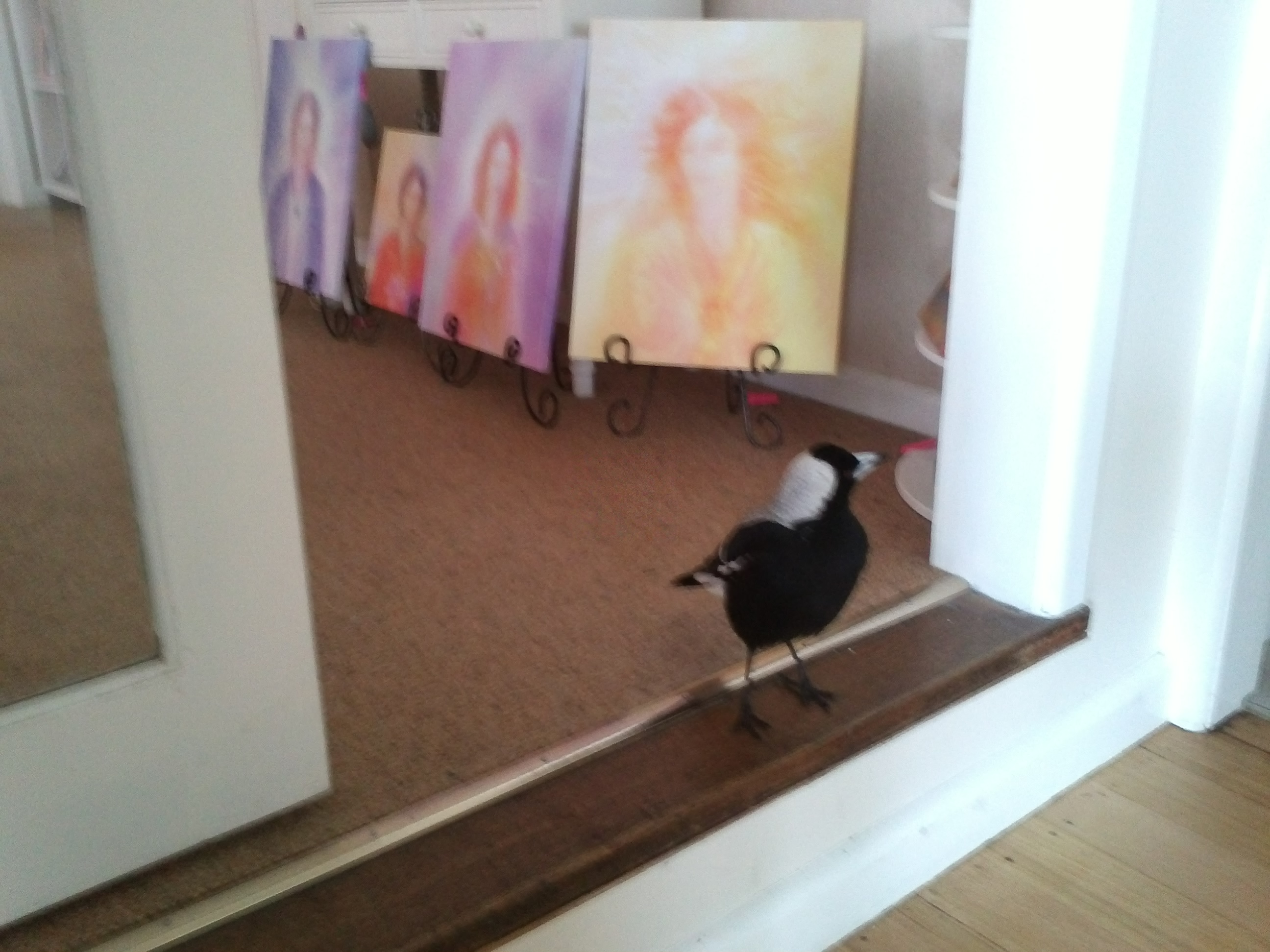 A photo of a Magpie who loves Angels and visits my Angel Gallery.